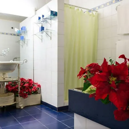 Quinta De Sao Jose Farm stay *